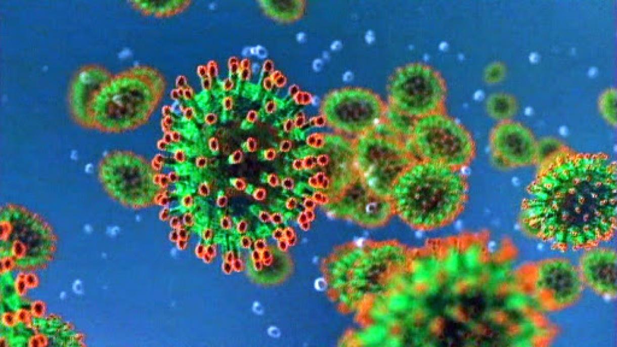 O‘zbekistonda koronavirus bilan kasallanganlar soni yana oshdi