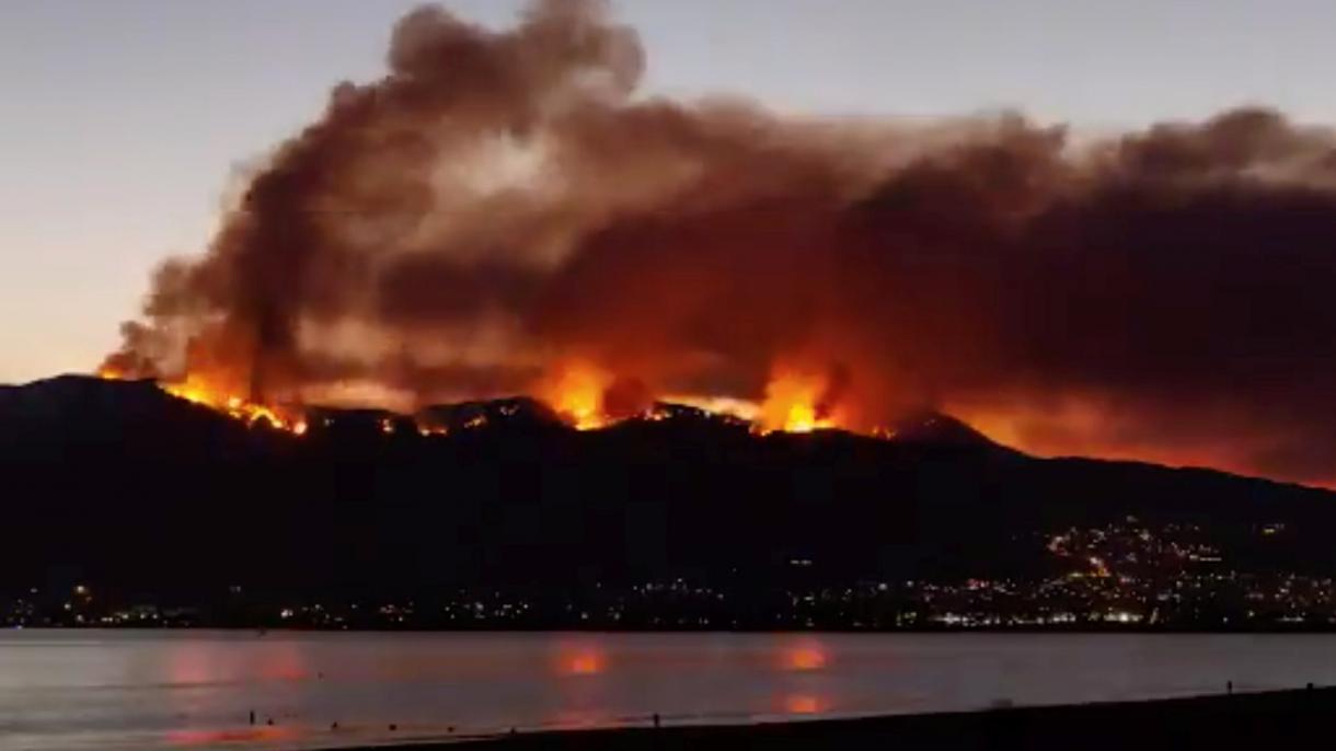 آتش سوزی های جنگلی در امریکا هنوز مهار نشده است
