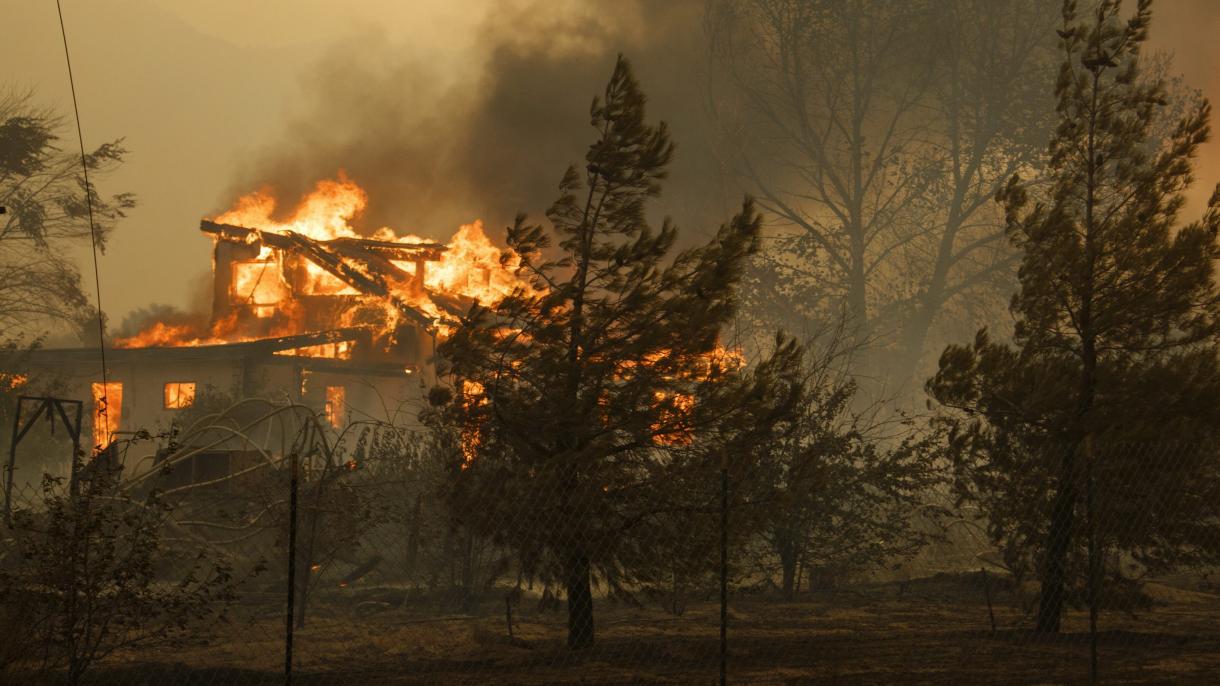 美国加州森林大火仍未扑灭