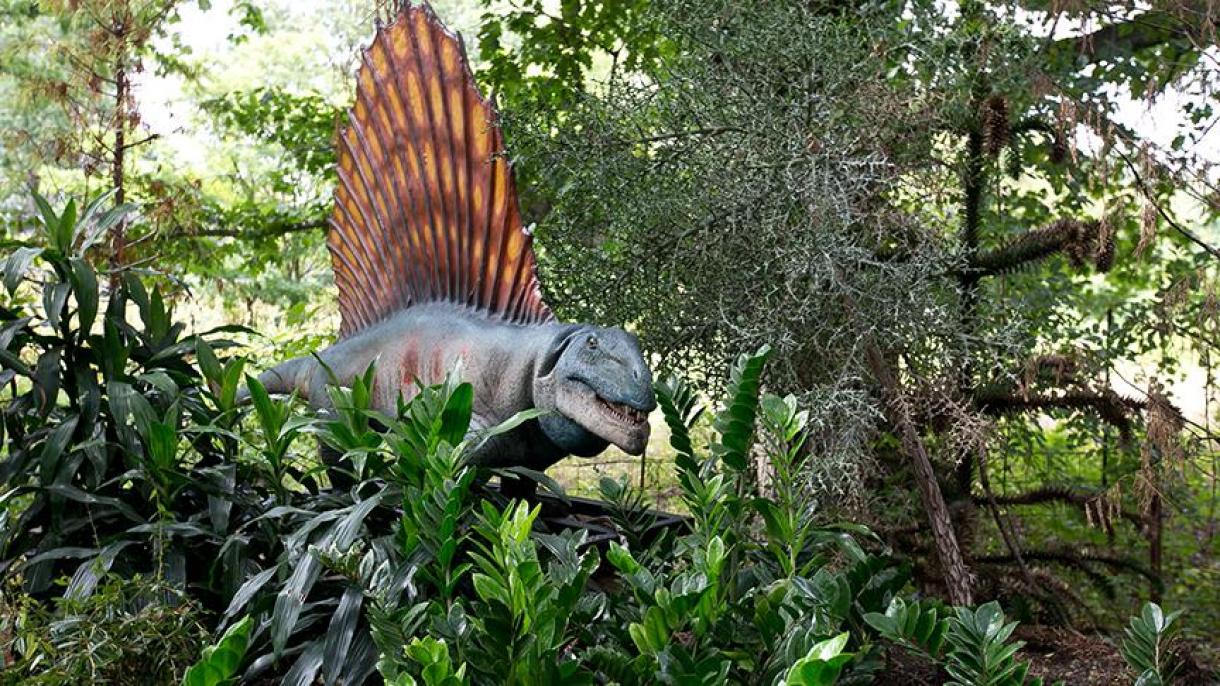 ABŞ-da, dinozavrlar dörünə məxsus canlı bitki tapılıb