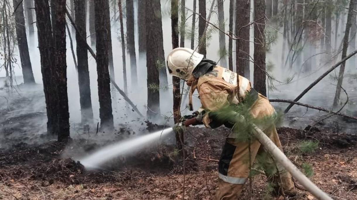 Presidente de Kazajistán decreta luto nacional por trabajadores forestales muertos en el incendio