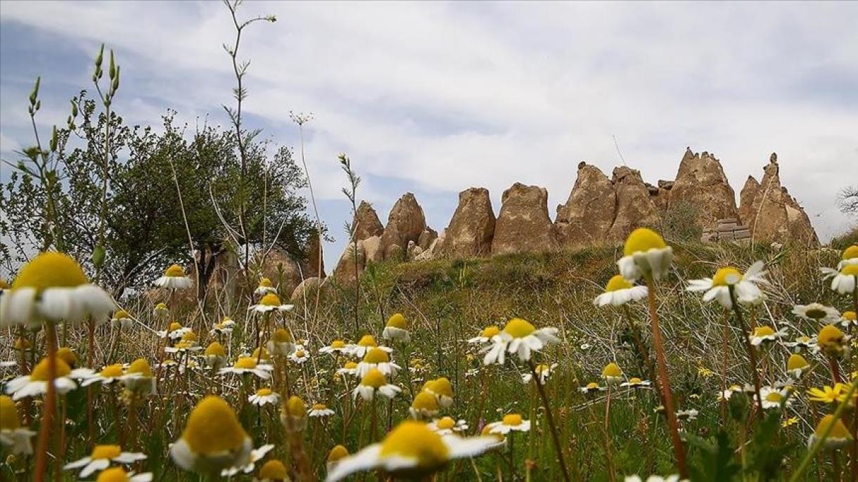 Le deuxième géoparc de Turquie sera construit en Cappadoce