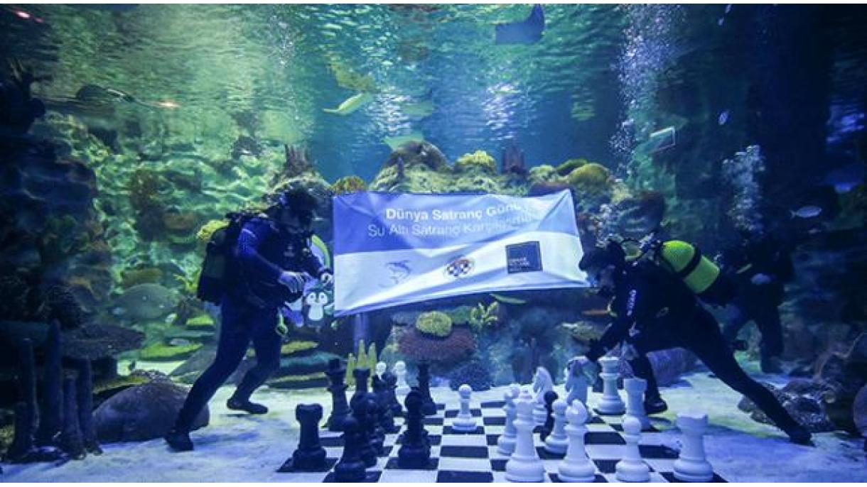 El partido de exposición submarino en el Día Mundial de Ajedrez
