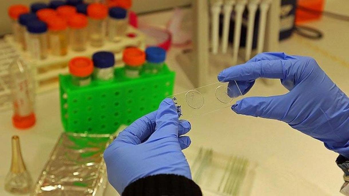شناسایی اولین مورد ویروس زیکا در کامبوج پس از گذشت هفت سال