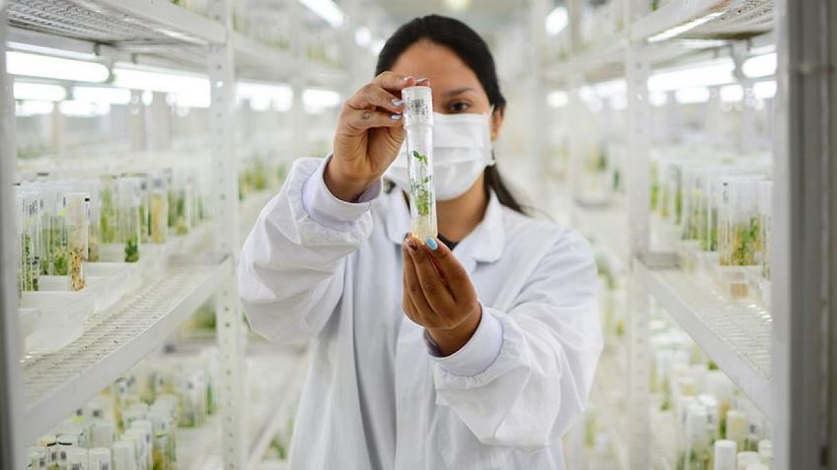 Semillas del Futuro, uno de los bancos de germoplasma más grandes del mundo ubicado en Colombia