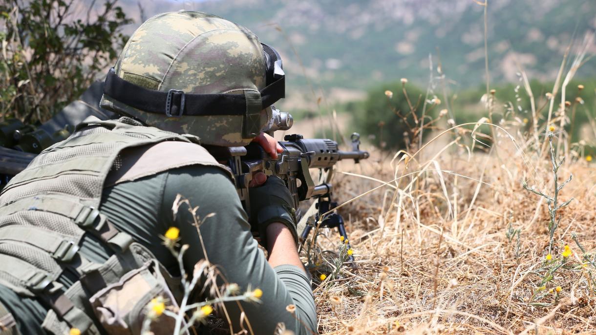 Terror təşkilatı PKK-ya qarşı әmliyyatlar davam edir