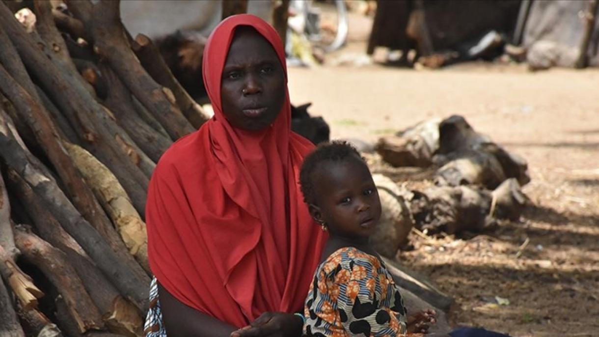 非洲受粮食危机影响的多数人生活在冲突地区