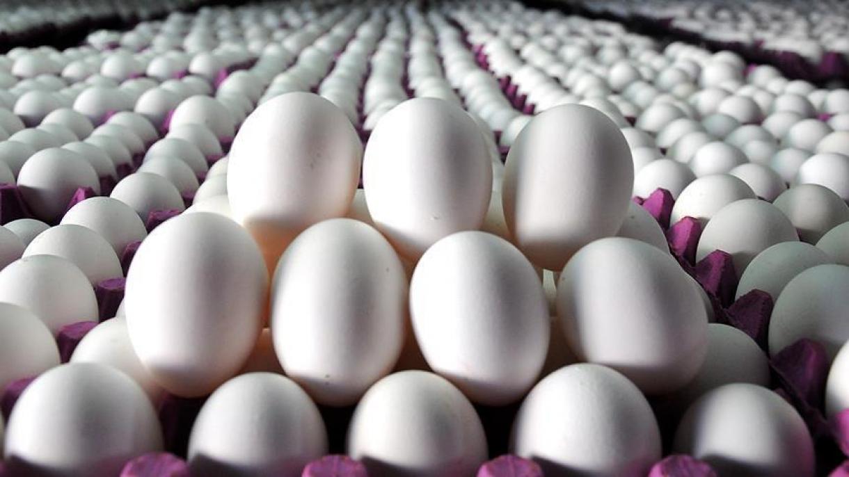 ایران به زودی از ترکیه تخم‌مرغ وارد خواهد کرد