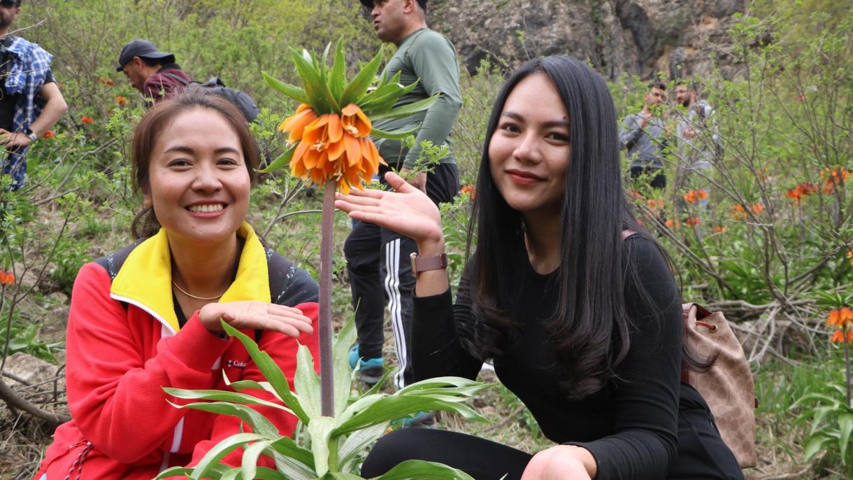 اوندھے گُلِ لالہ دیکھنے کی شوق میں تھائی لینڈ کی سیاح خواتین ترکی آ پہنچیں