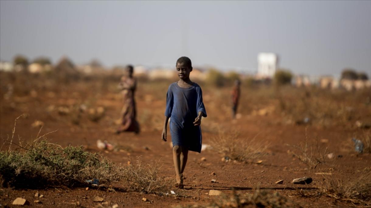 ONU: "4,3 millones de personas en Somalia se vieron afectadas por la sequía"