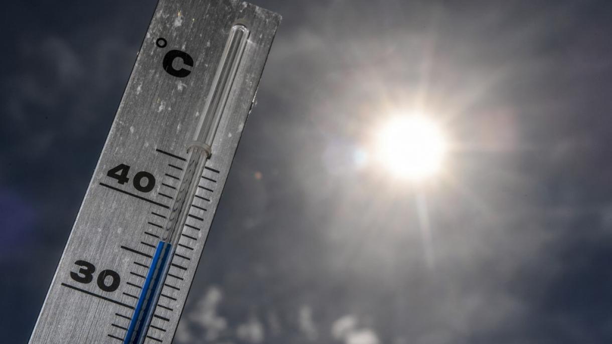 El 2019 estará entre los cinco años más cálidos de la historia, afirman expertos