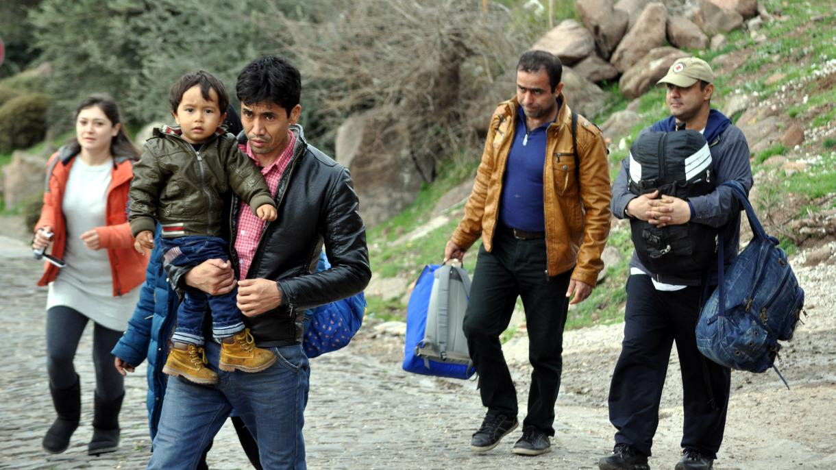 دستگیری 101 مهاجر غیرقانونی در چناق‌قلعه ترکیه