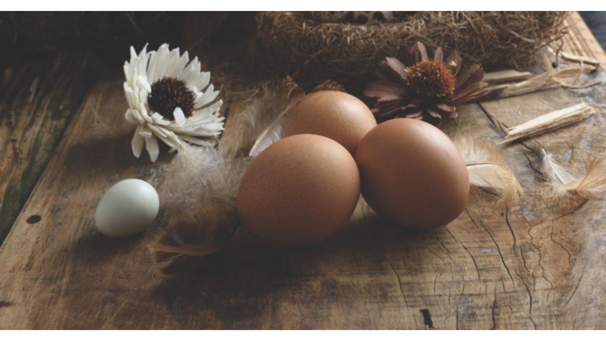 آیا تخم مرغ برای مدت طولانی سیری ایجاد می‌کند؟