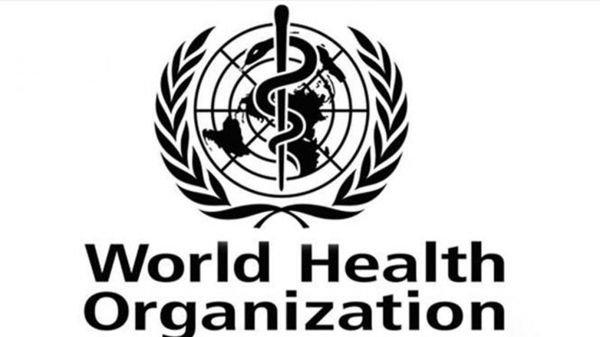 世界卫生组织：也门霍乱疫情日益严峻
