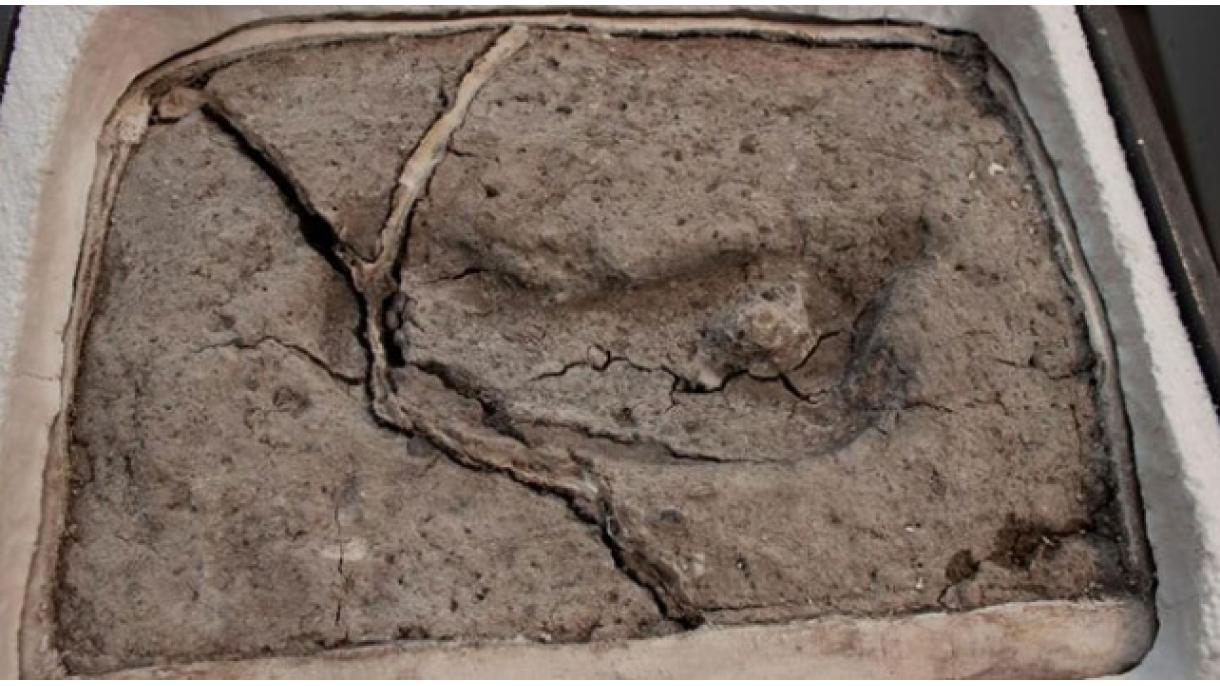 La huella más antigua del mundo fue encontrada en Chile