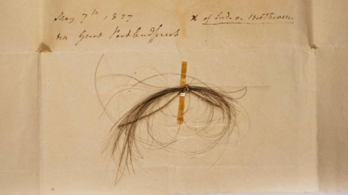 beethoven'in saci.jpg