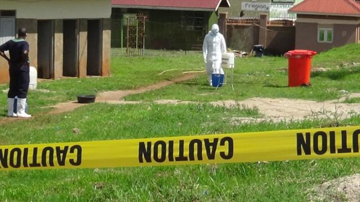 Nigeriyädä êbola virusı turında kisättelär