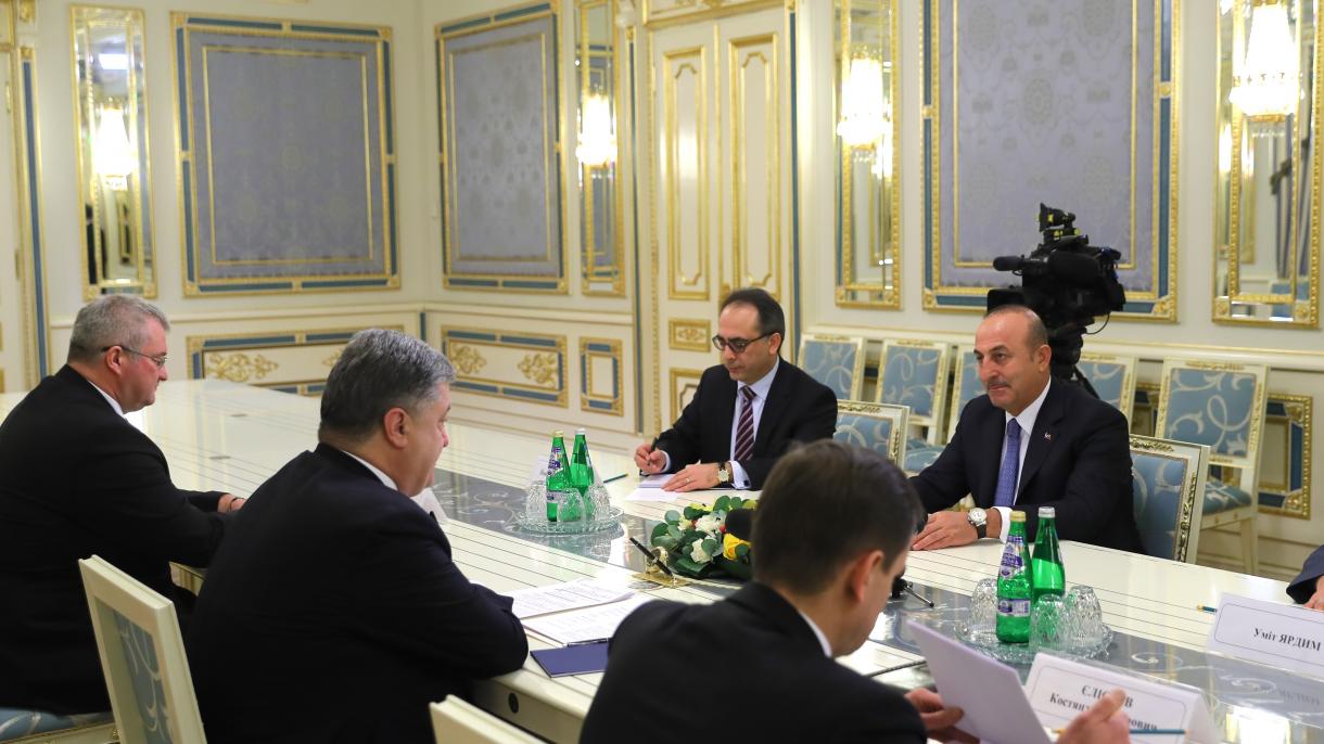 土耳其外长与乌克兰总统波罗申科会晤