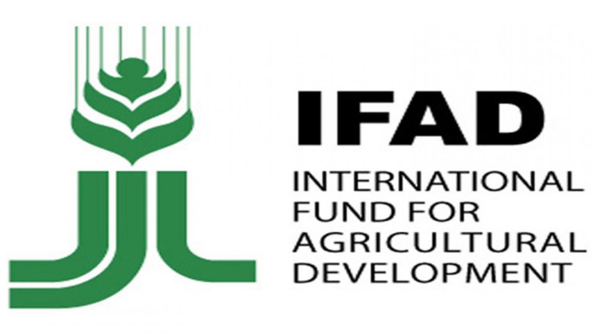IFAD Membuat Amaran Agar Tidak Berlaku Krisis Makanan di Dunia Selepas Wabak Covid-19