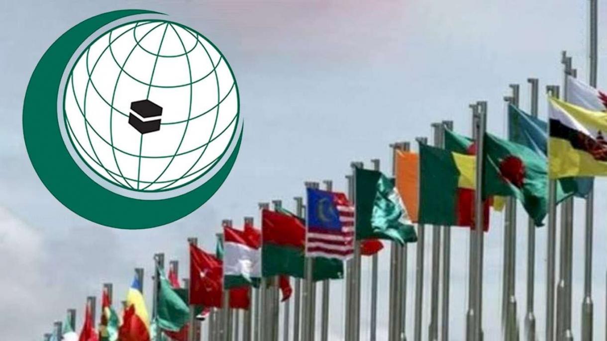 ابراز خرسندی سازمان همکاری‌های اسلامی از تصمیم اتحادیه آفریقا