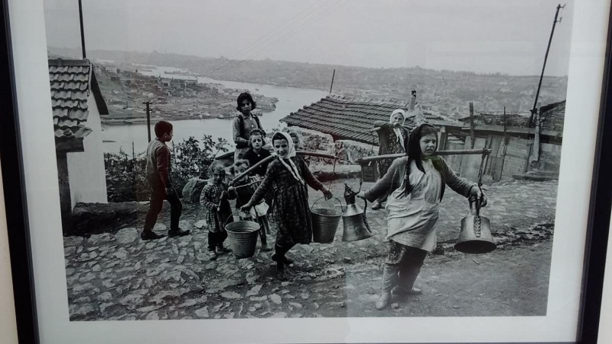 aragüler 16.jpg
