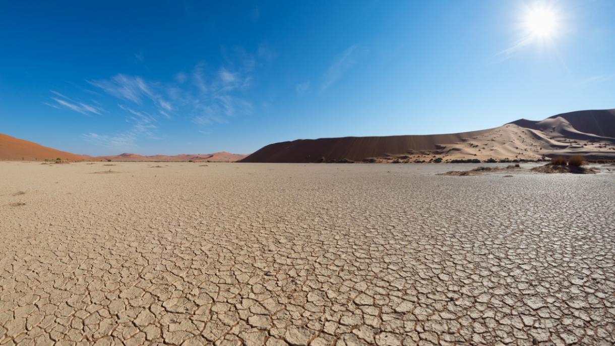 南非因干旱宣布全国进入灾难状态