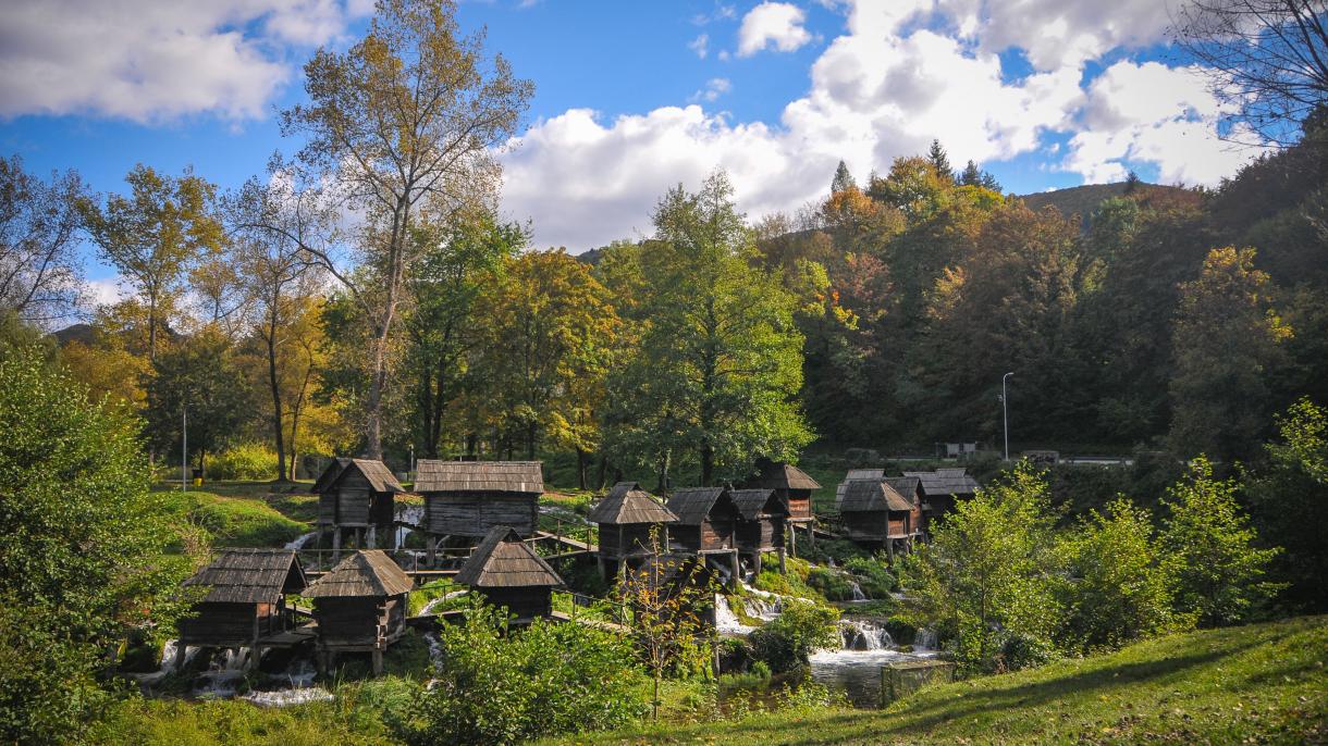 jajce9