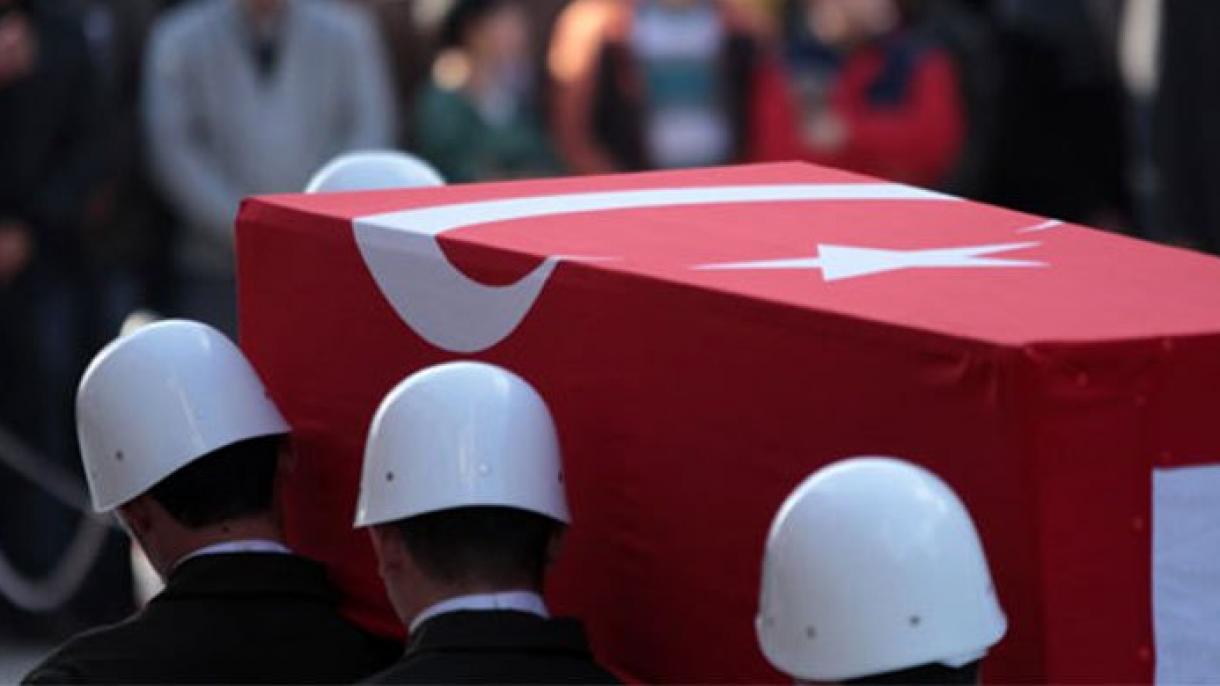 土耳其又有2名军人在军事行动中牺牲