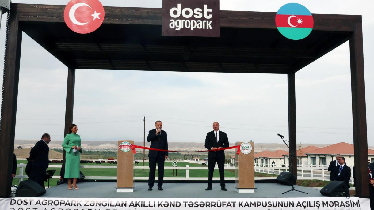 erdoğan aliyev.jpg