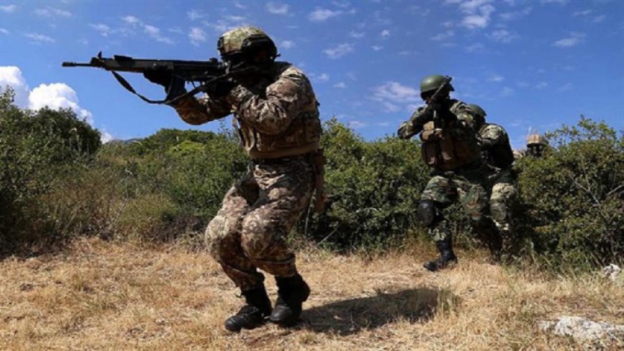 Turquía, Azerbaiyán y Georgia participan en una maniobra militar en conjunto