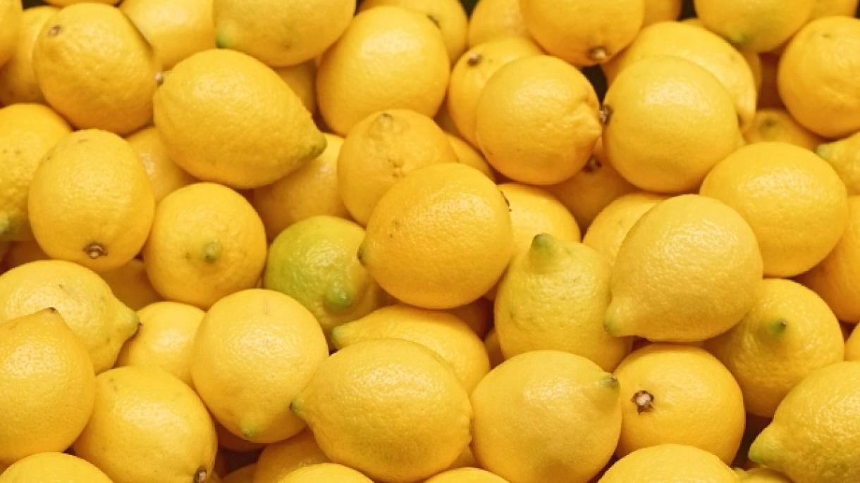 Износ на лимони за над 31 милиона долара