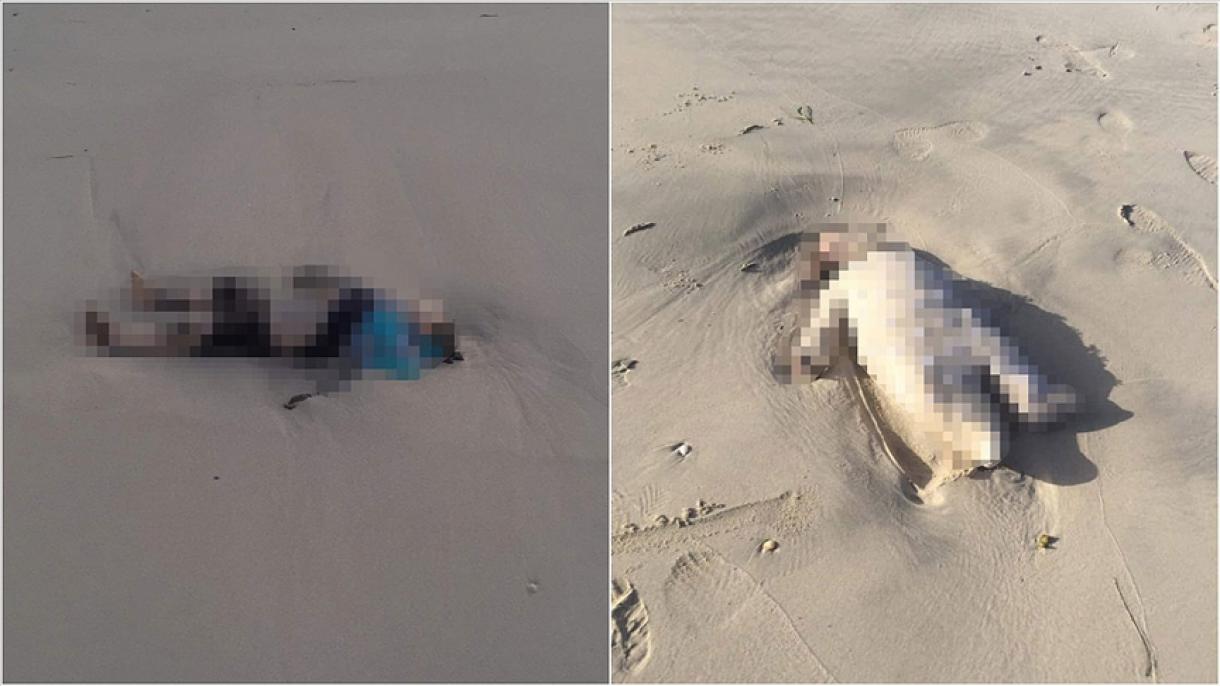 数具儿童尸体惊现利比亚海滩
