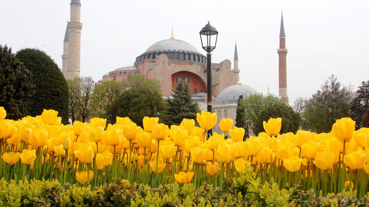 ayasofya.jpg