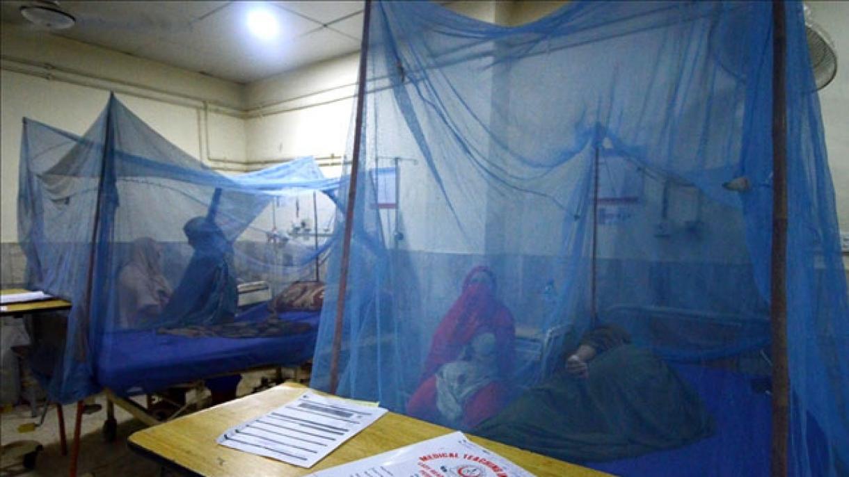 Бангладеште сары безгек оорусунан 24 саатта 13 киши каза болду