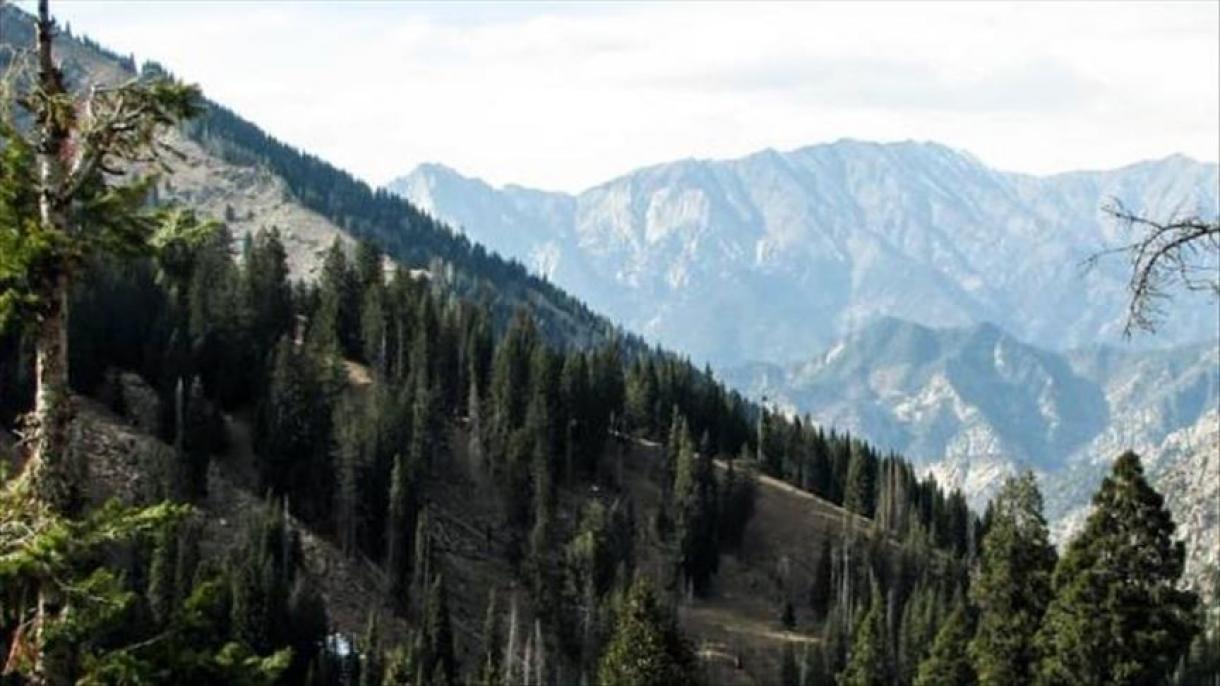 چهار منطقه در افغانستان پارک طبیعی اعلام شد