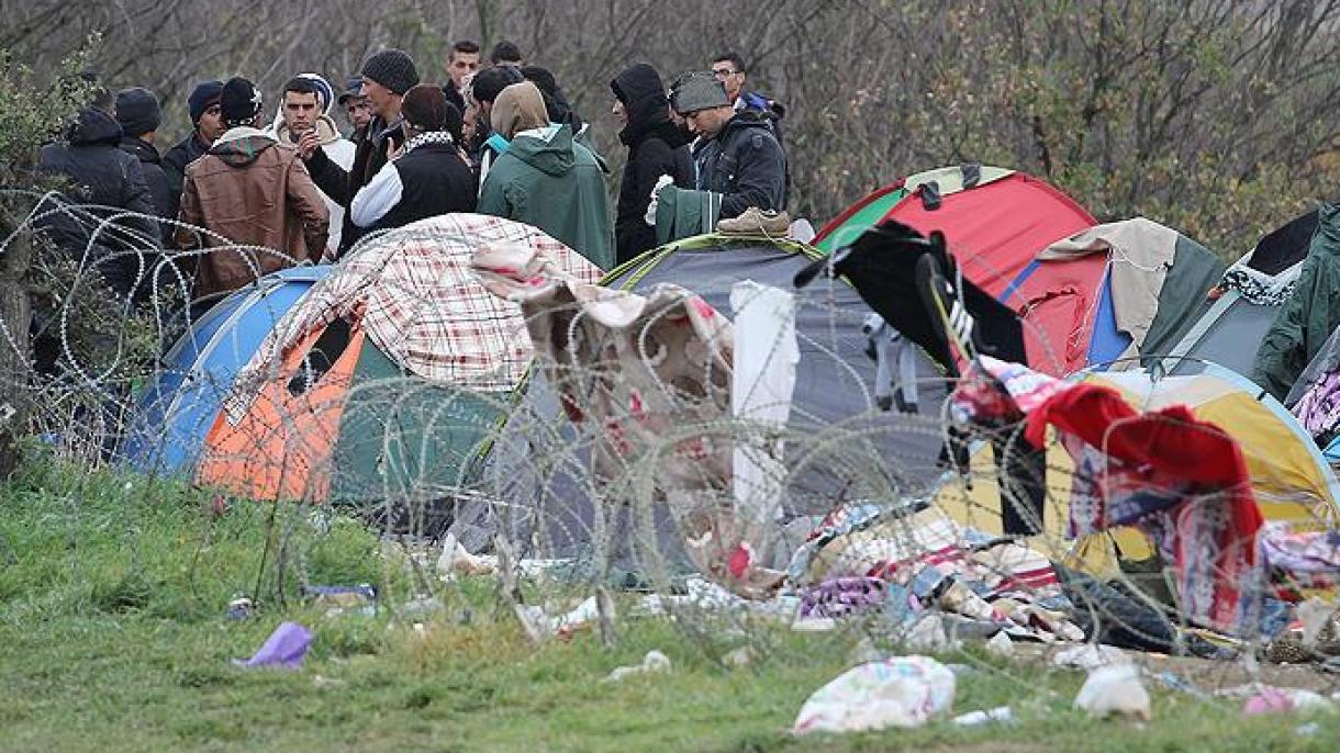 非正规移民在白俄罗斯和波兰边境冻死