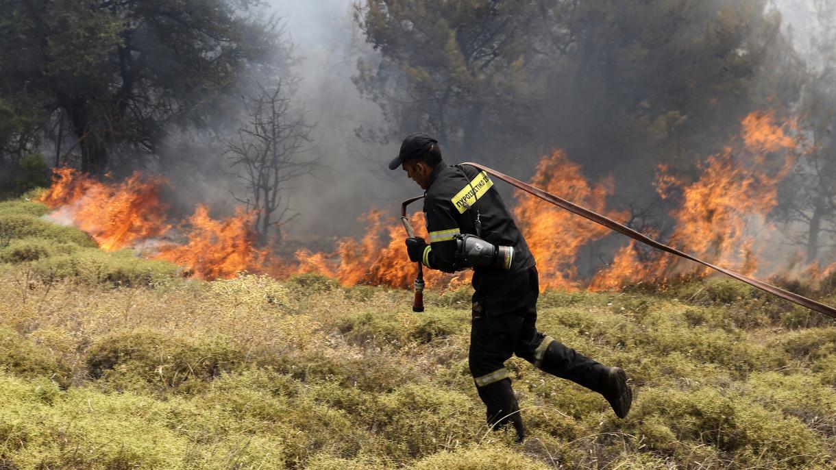 آتش سوزی جنگلی در یونان