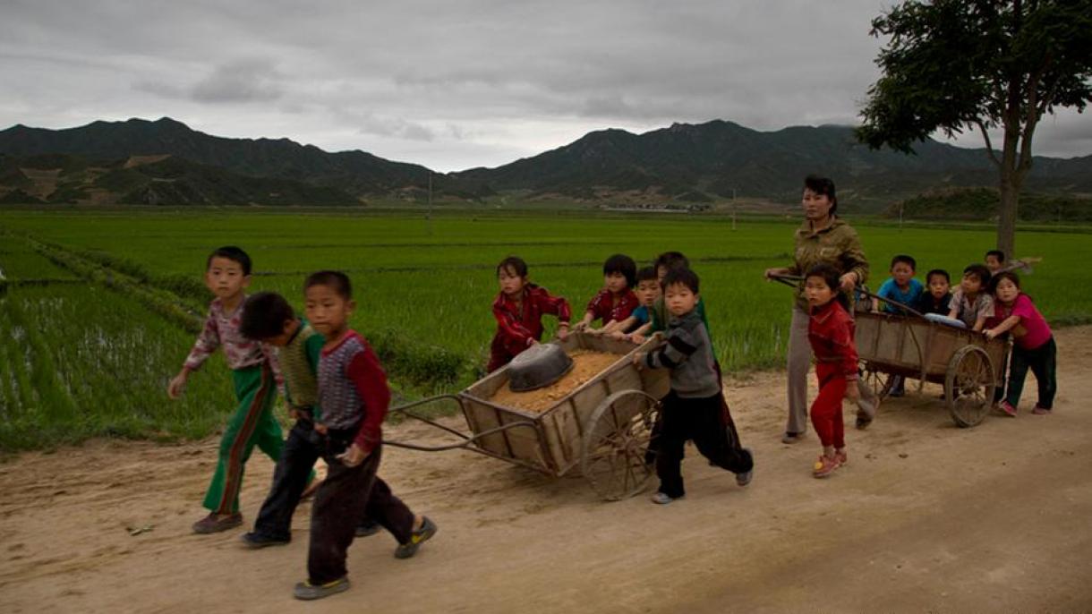 联合国：朝鲜6万儿童营养不足