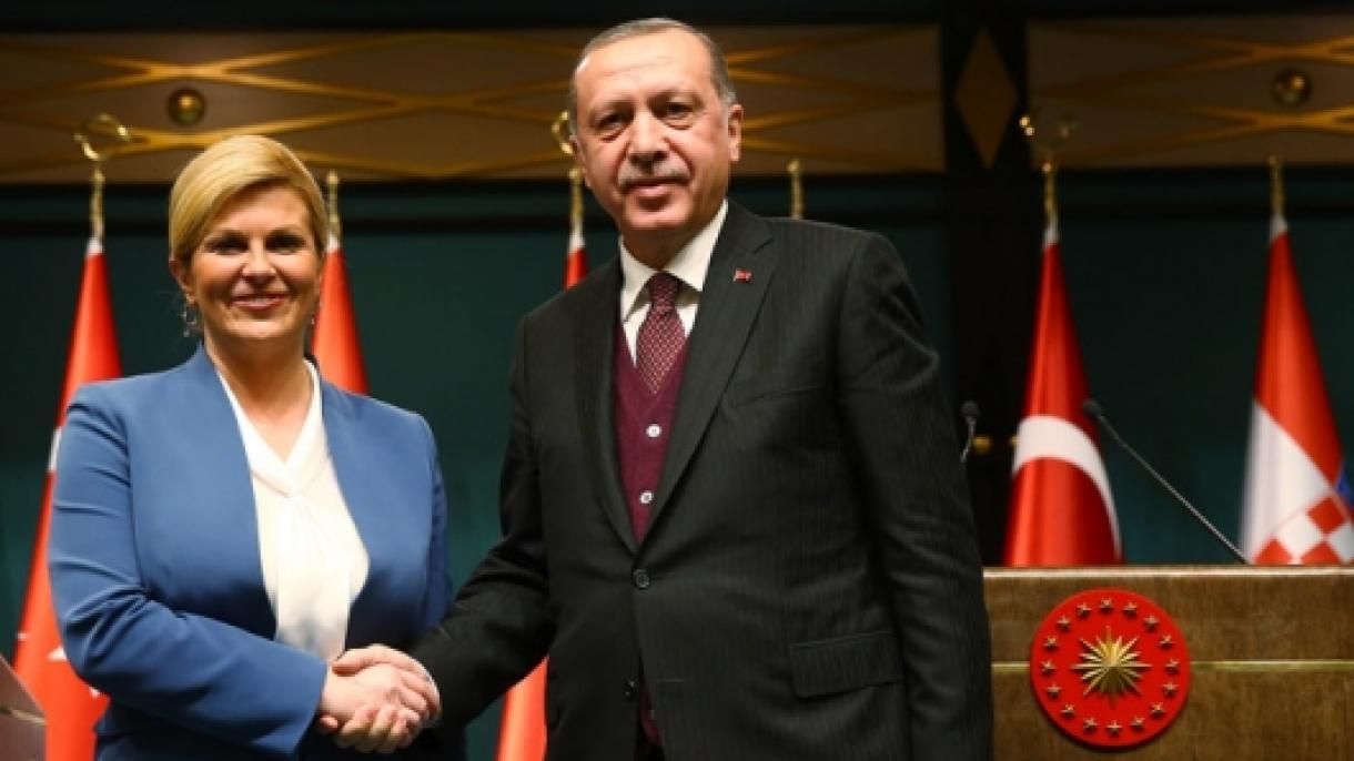 "Balkan coğrafiyasında da FETÖ-nün kökünü kəsəcəyik", R.T. Ərdoğan