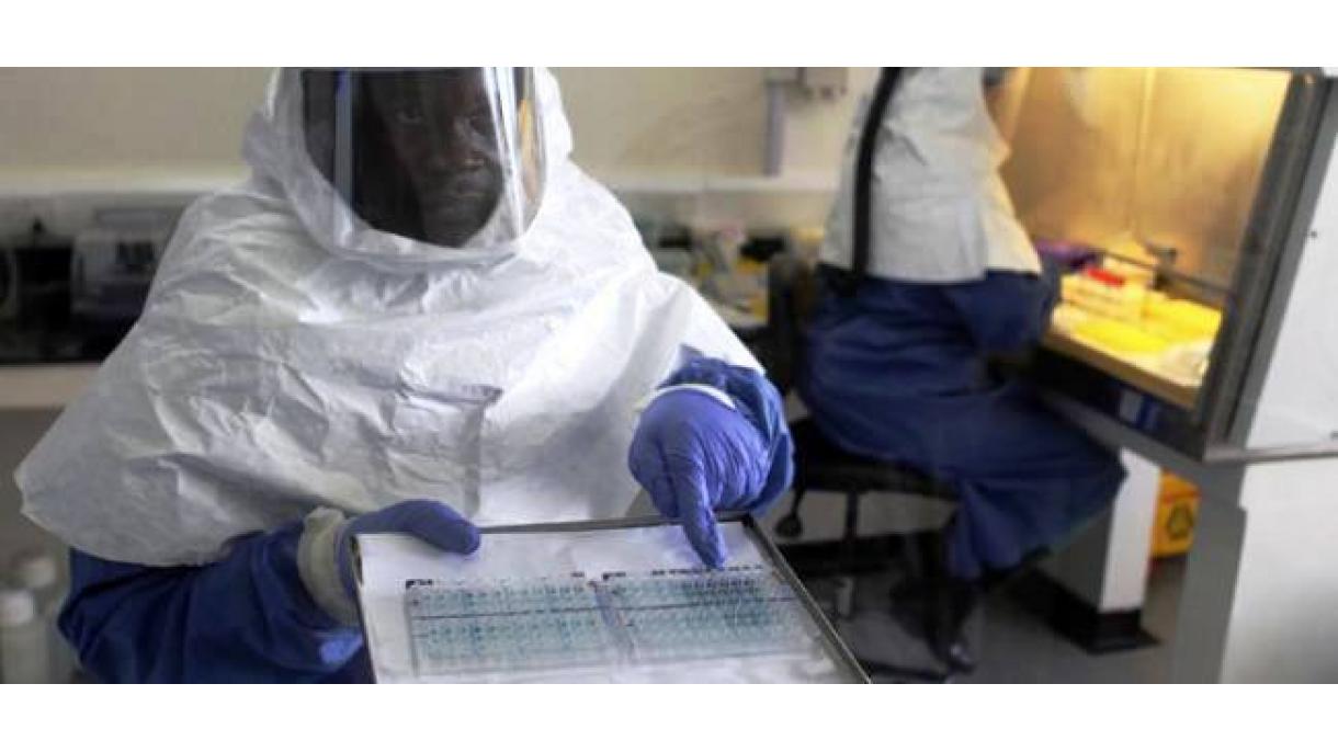 Dois medicamentos para o Ebola encontrados para aumentar as taxas de sobrevivência