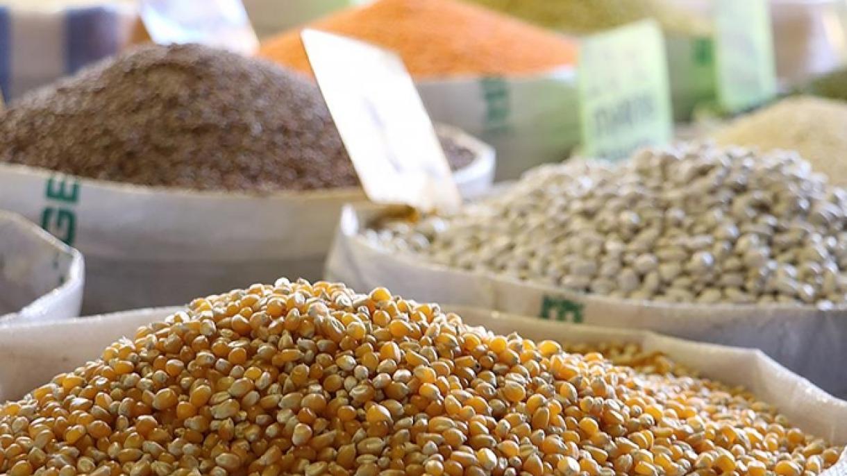 افزایش میزان صادرات غلات، حبوبات، دانه‌های روغنی طی 7 ماه اول سال