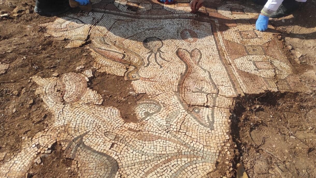 În Mardin au fost descoperite mozaicuri înfățișând creaturi marine