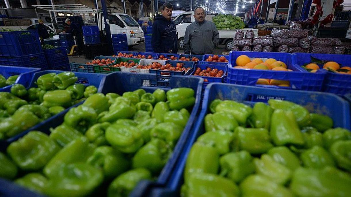 امضای اجازه صادرات برخی محصولات کشاورزی ترکیه به روسیه