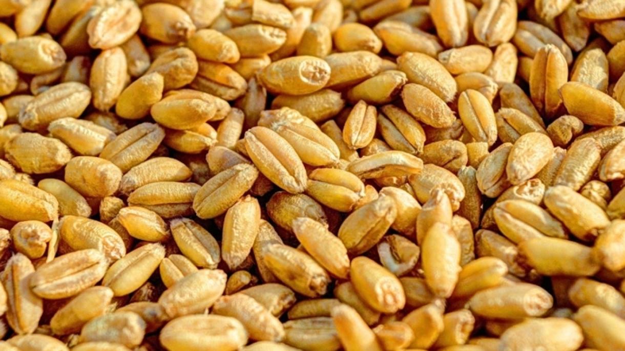 Acordul privind cereale