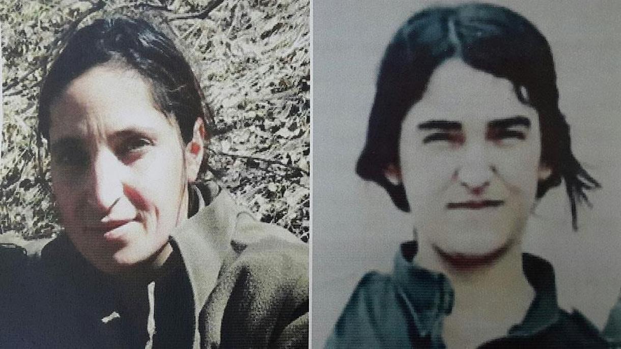 جایزه برای دستگیری دو تروریست زن در ترکیه