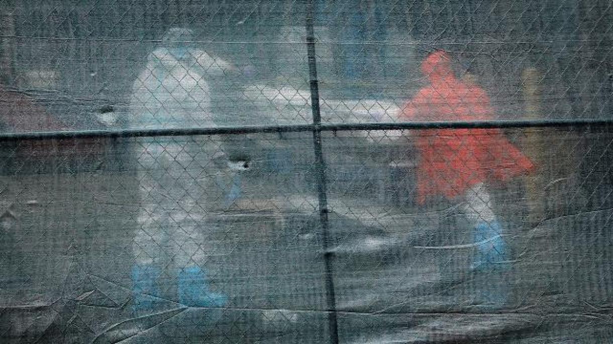 Pánico por la viruela del mono en EU