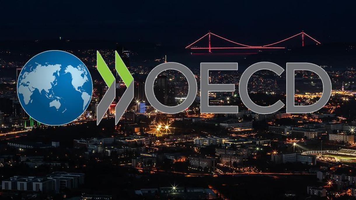 OECD parashikon rritje të fuqishme për ekonominë turke