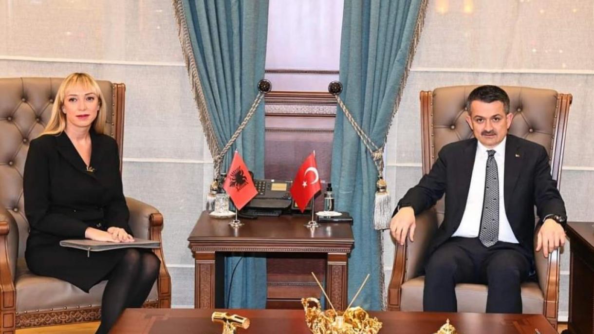 Pakdemirli Arnavutluk.jpg
