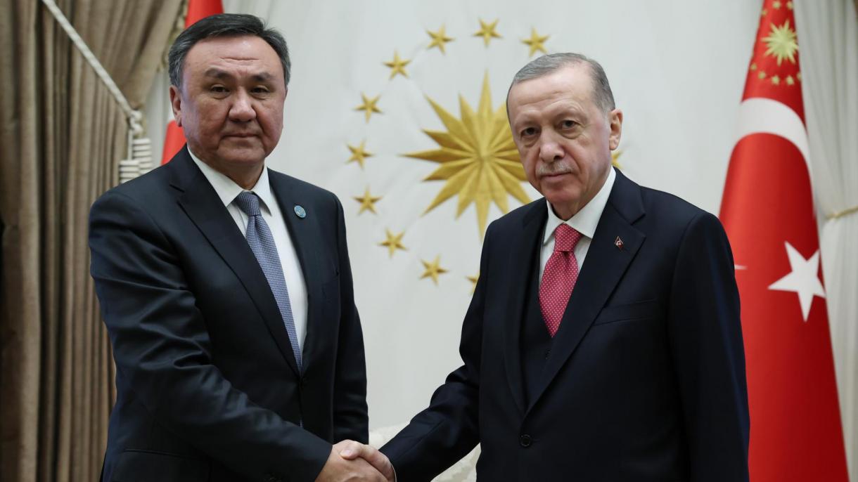 صدر رجب طیب ایردوان کی ترک ریاستوں کی تنظیم کے سیکرٹری جنرل سے ملاقات