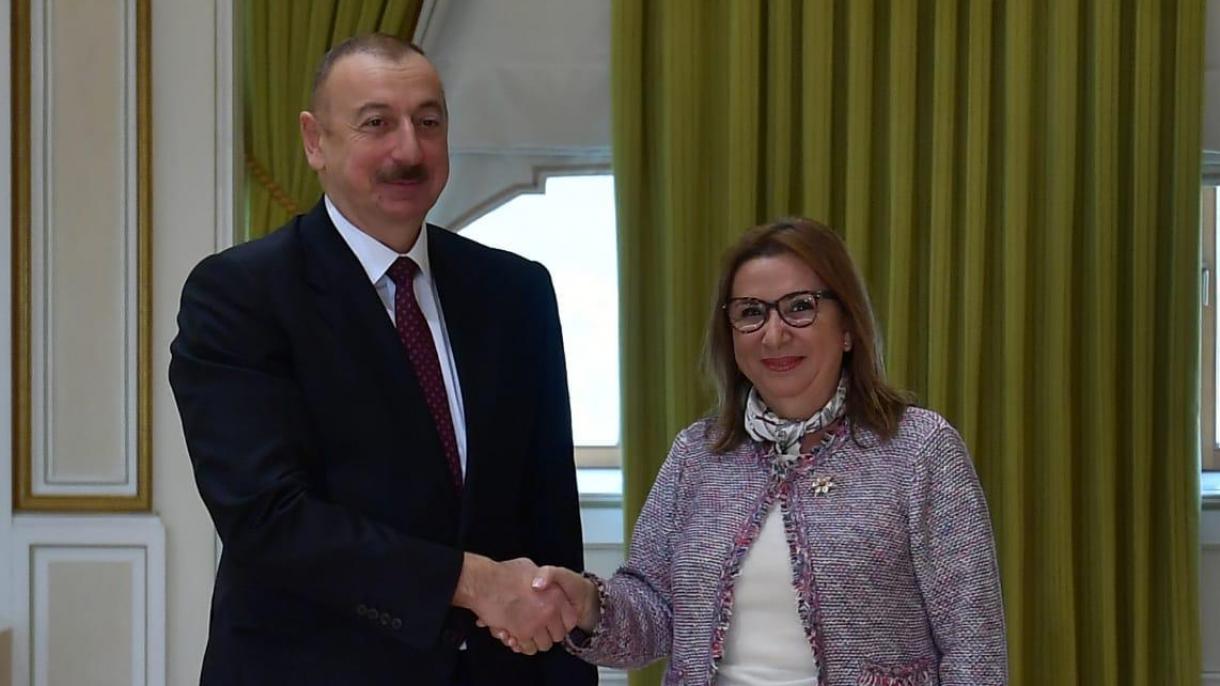 aliyev-pekcan.jpg